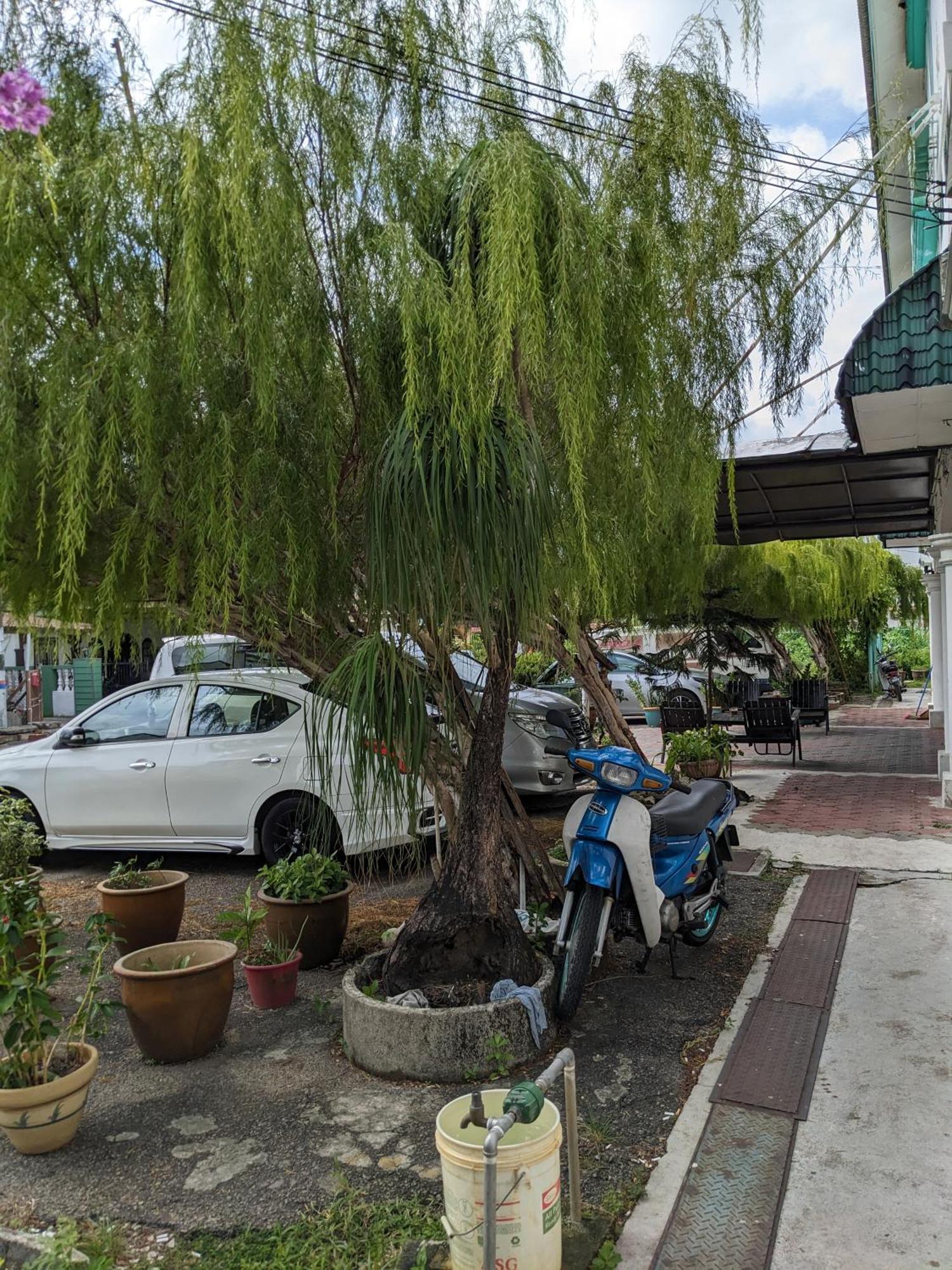 Ene Sri Cemerlang Kota Bahru Luaran gambar