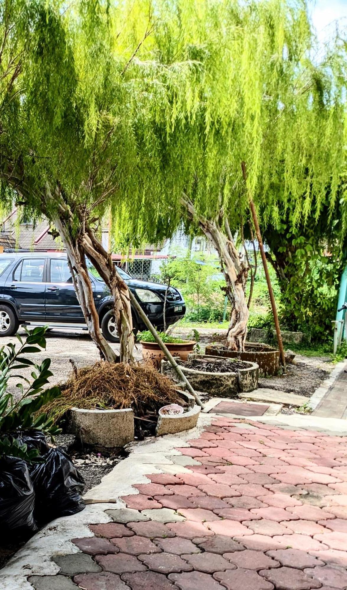 Ene Sri Cemerlang Kota Bahru Luaran gambar